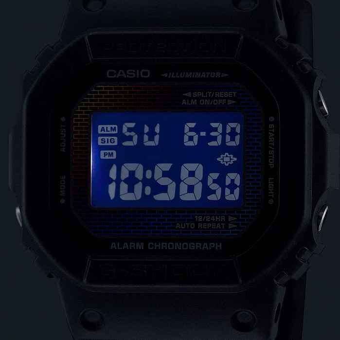 DW-5600RW-1