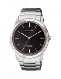 AW2024-81E