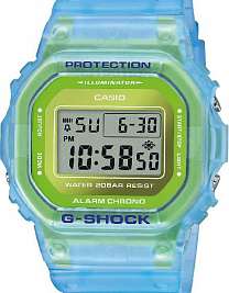 DW-5600LS-2ER